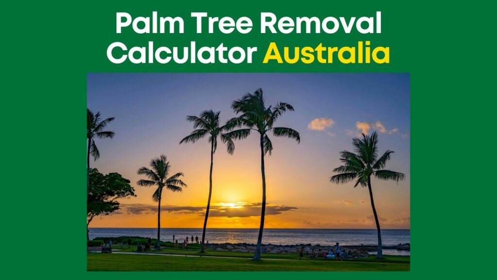 Palm Tree Removal Calculator Australia