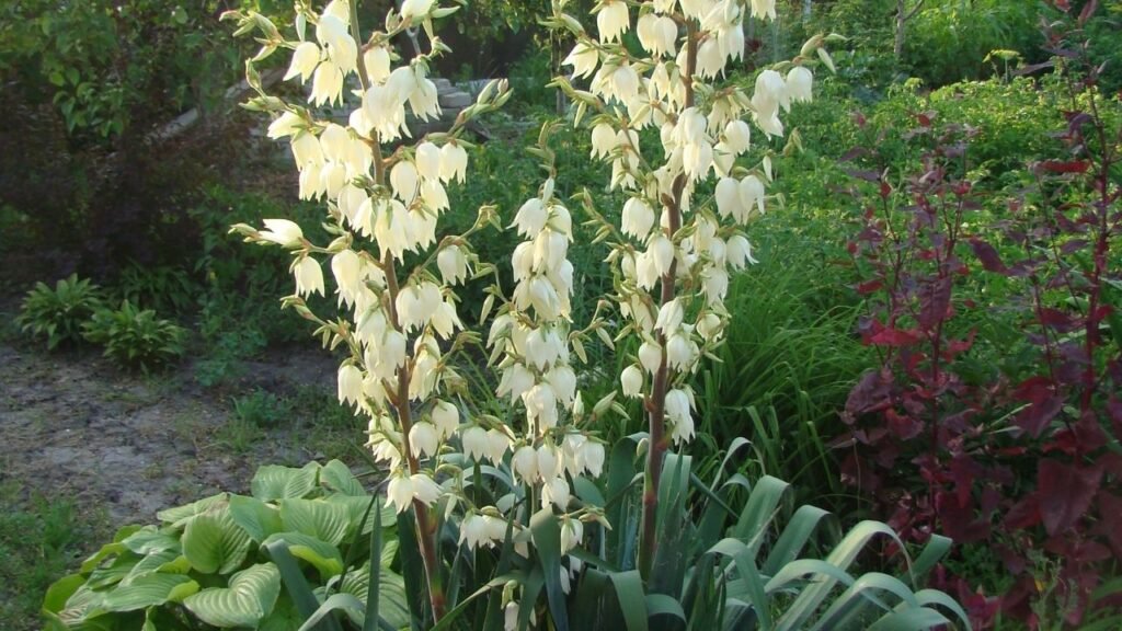 Palm Tree Removal Calculator